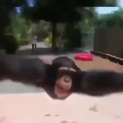 :))
