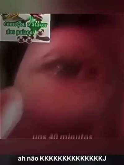 Boa 06