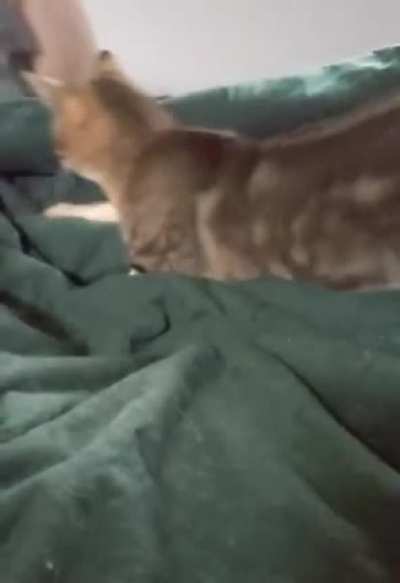 What was that for?