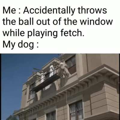 Bravo six, going BARK.