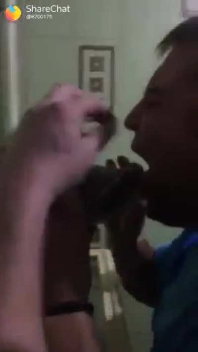 A stupid guy wanted to French kiss a turtle but it didn't go as planned.