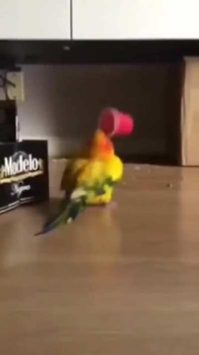 Parece de brinquedo