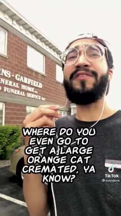 In loving memory of Lasagna Cat