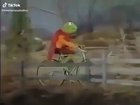 Just a nice little bike ride with Kermit