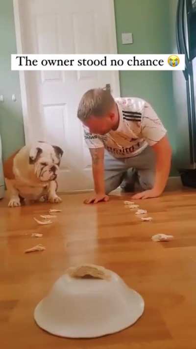 The dog didn’t take any mercy