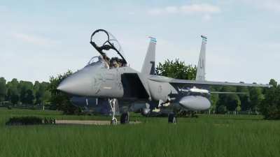 Razbam F-15E startup sounds posted today on the discord, and no this is not the startup video.