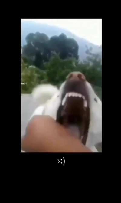 É amigo ou não?