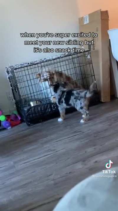 Hungry but excited