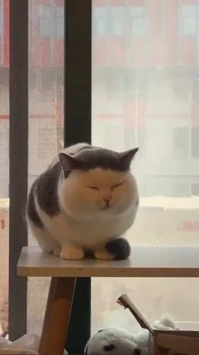 I want to touch its cheeks
