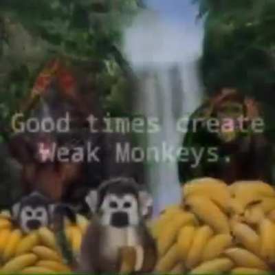 strong monkeys