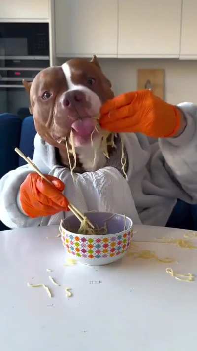 Dog goes hard at noodles 