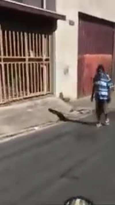 Bom dia Pedrinho