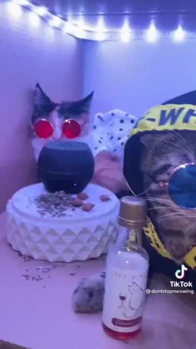 We living better now Gucci sweater now
