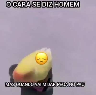 Fd