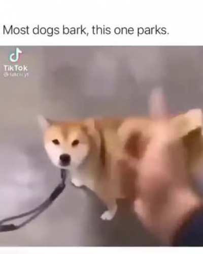 i don't care if it is posted before, everybody gotta see this.