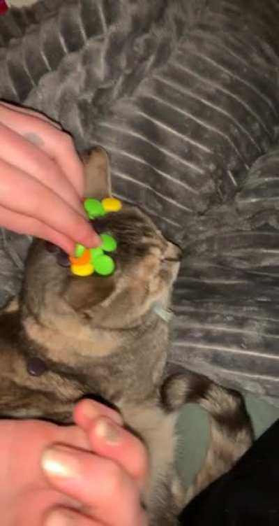 Pinot wasn’t having it