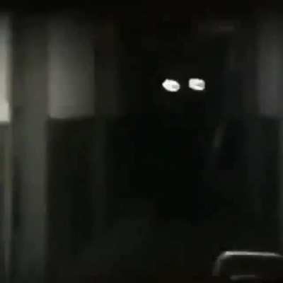 cursed_to_the_bone