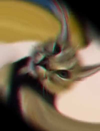 mfw war crimes