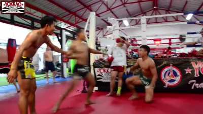 Sparring BFF