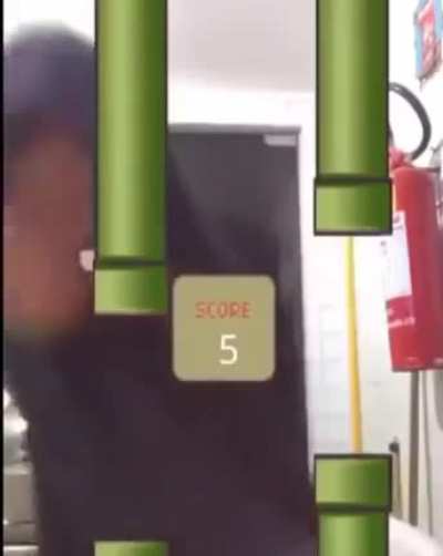 Blursed flappy bird.