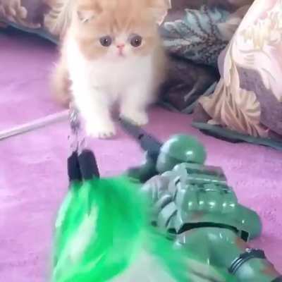 War is hell