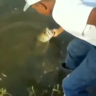 This kid has a great parents teaching him about life.