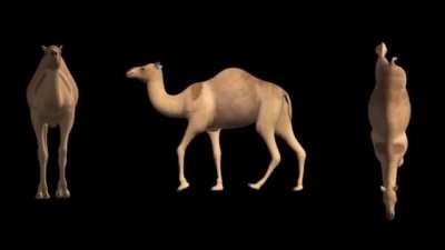 حبيبي 🥰 حبيبي هود😳😳😳😎😎😤