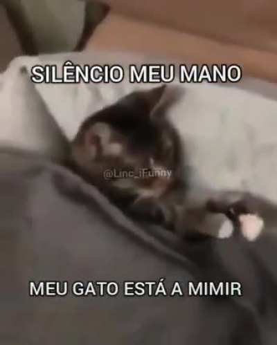 Alguém sabe o nome dessa música? Ela e incrível