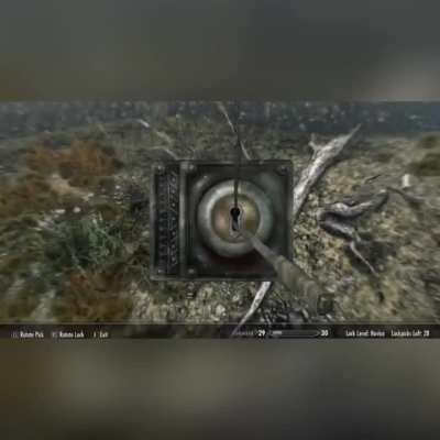 Can’t top Skyrim