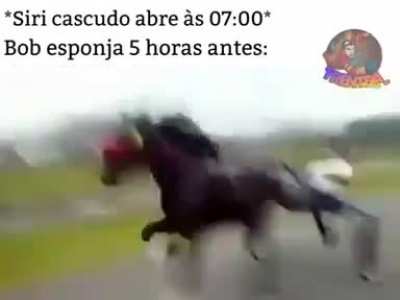 calça quadrada