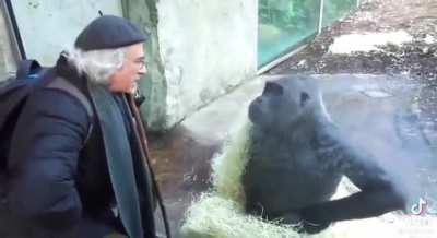 Just chatting about business