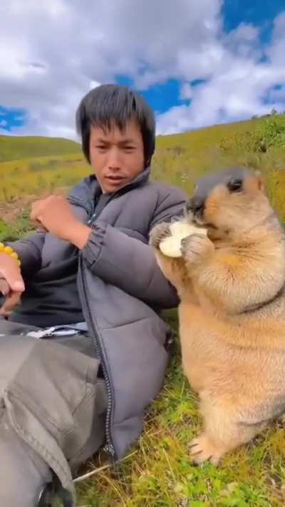 Maybe maybe maybe