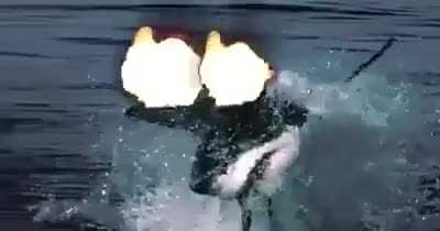 a