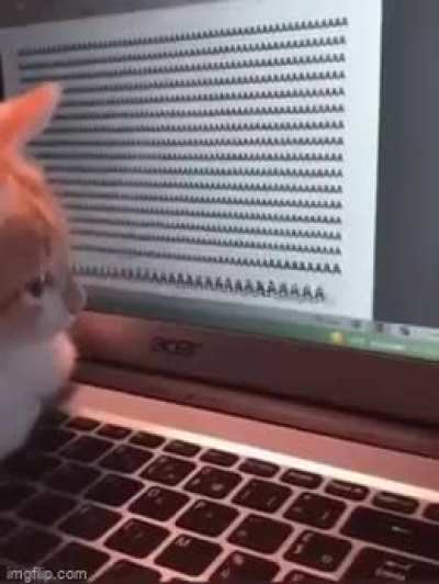 Cat’s finally able to express her inner turmoil…