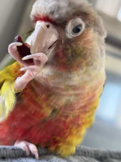 How she eats cranberries
