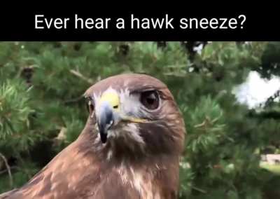 have ye?