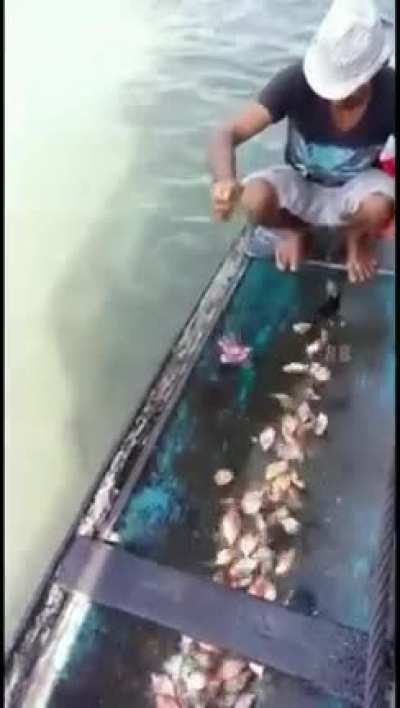 Least dangerous job in Brazil