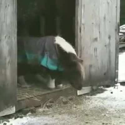 Maybe Maybe Maybe