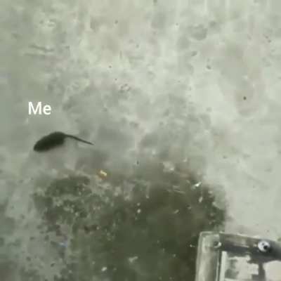 Me trying to solve the problem ----- the destiny