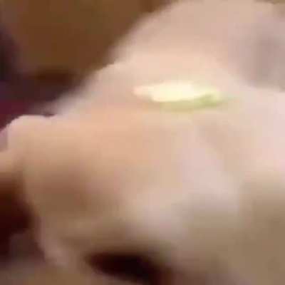 AÆE