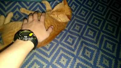 AAaaa