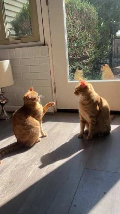 I don’t understand them