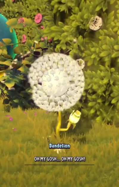 Wtf