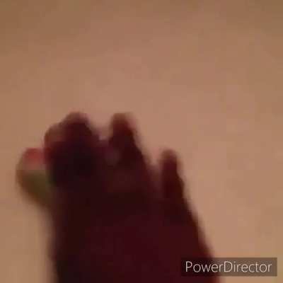 Last post before i go to bed  
