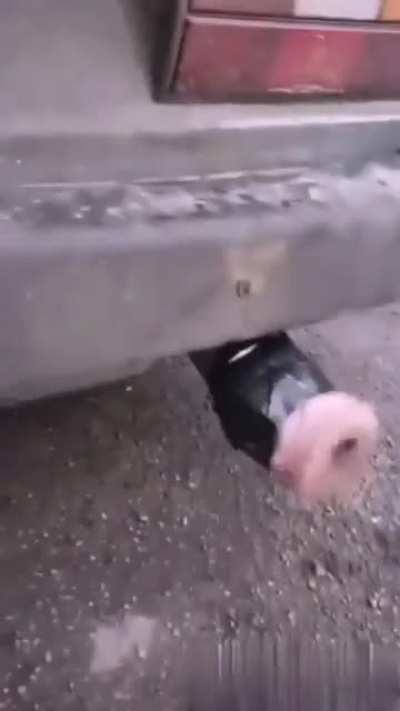 Don’t do it