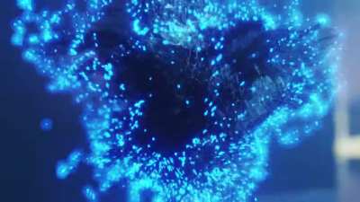 Fibers