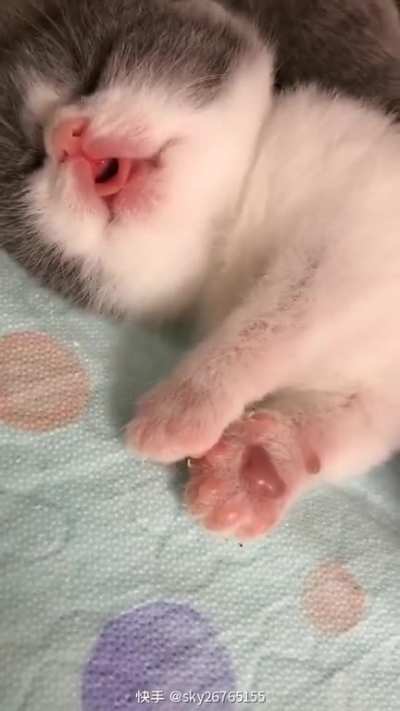 Adorable