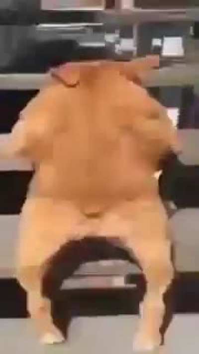 SUS