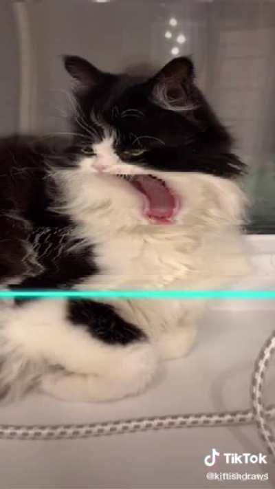 Random video I found in my galery