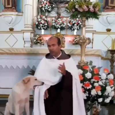 Tava com o cão no corpo!